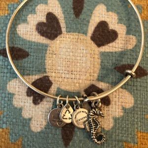Alex and Ani Bracelet